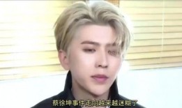 蔡徐坤事件爆料最新消息,真相揭秘，网络暴力与舆论反转全记录