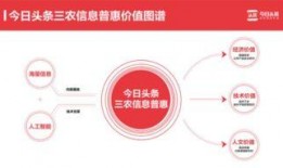 山东农村今日头条爆料,揭秘乡村发展新动向